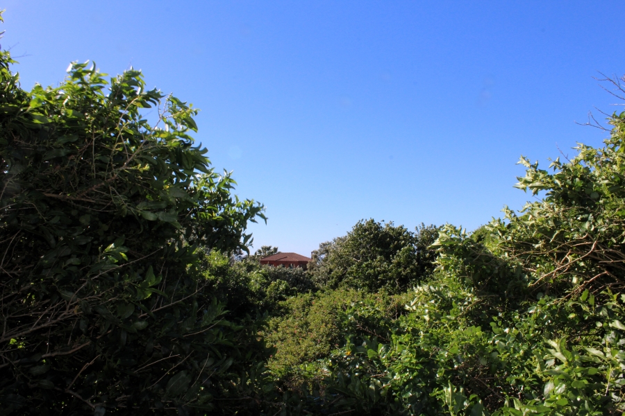 0 Bedroom Property for Sale in Forest Downs Eastern Cape